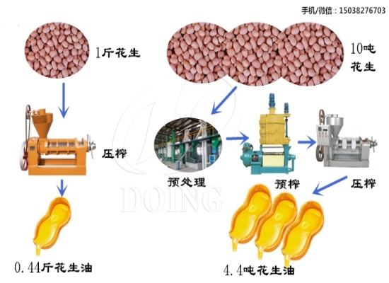 1斤花生可以榨出多少花生油？