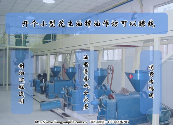 開個(gè)小型花生油榨油作坊賺錢嗎？利潤(rùn)怎么樣？