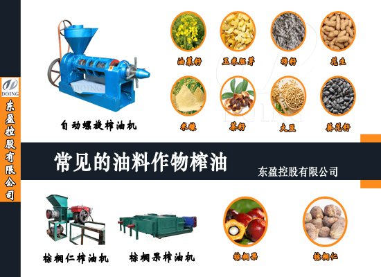 常見的油料作物有哪些？怎么榨油？