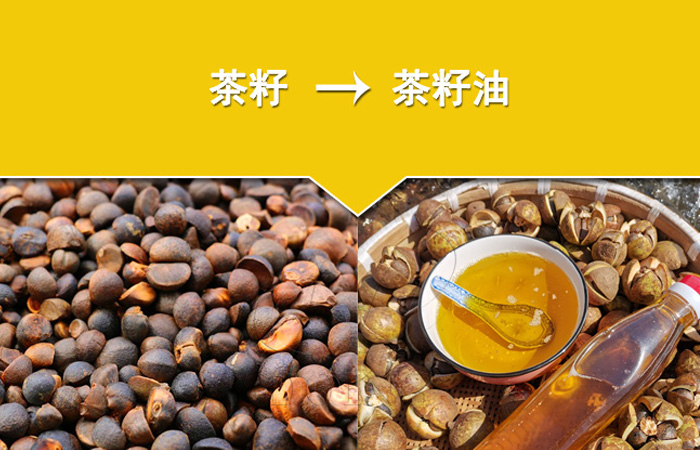 茶籽油