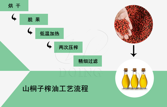 山桐子榨油工藝流程