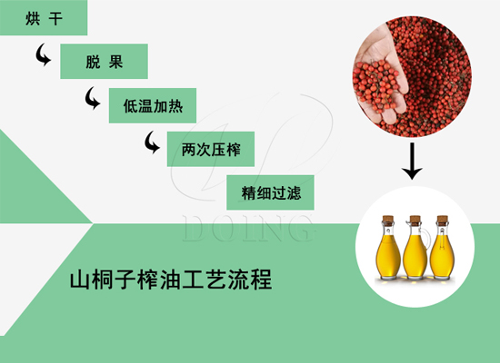 山桐子油加工工藝流程詳解，快來點擊了解！