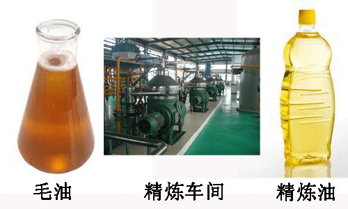 怎樣分辨毛油和精煉油