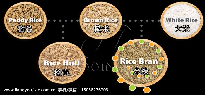 稻谷加工流程